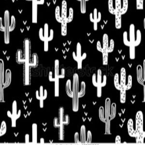 Meet your Posher, Ashlyn